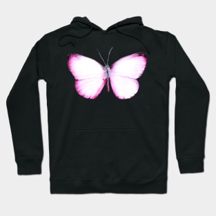 Hand drawn Pink Butterfly on Pastel Gradient Background Hoodie